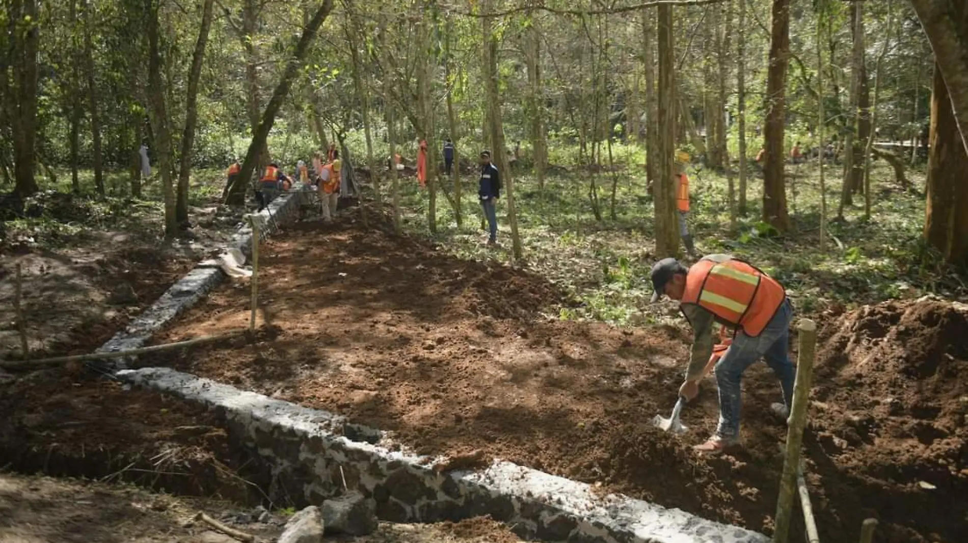 Circuito biocultural en Xalapa